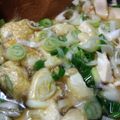 夢子ちゃまさん's cooksnap of when they made 生姜であったか！お豆腐のねぎあんかけ.