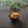 まろんかふぇ's cooksnap of when they made ごぼうとにんじんのカレーマヨサラダ.