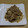 ラリー＆サラ's cooksnap of when they made 牛肉とえのきの簡単すき焼き.