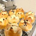 sayokoさん's cooksnap of when they made レーズンくるみパン.