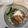 Ruriluru's cooksnap of when they made がっつり！角煮丼.