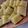 みゅんと's cooksnap of when they made 余ったお餅で♪やみつき美味な「バター餅」.