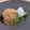 キラリンmama's cooksnap of when they made 超簡単！和風ハンバーグソース.