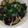 クックVNZV99☆'s cooksnap of when they made 簡単★小ナスのたたき.