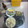 ニッシーマン's cooksnap of when they made 炊飯器deコンフィのしっとり蒸し鶏.
