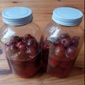 ミドルリン's cooksnap of when they made 夏バテ防止に！すもも（プラム）シロップ.