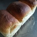 まったり日向ぽっこ's cooksnap of when they made ボウルの中で簡単！捏ねないミニ食パン♪.