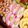 tn_dan111's cooksnap of when they made ☆お弁当おかず★チーズかまぼこ☆.