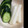 ゆりゆ＊'s cooksnap of when they made 簡単にきゅうりの浅漬け.