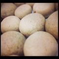 しおじり's cooksnap of when they made サックリほろり きな粉クッキー.