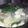 ぽぅ。's cooksnap of when they made あったまる！ショウガ鍋.