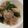 アオキユズ's cooksnap of when they made 鶏肉とピーマンの味噌だれ炒め.