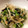 もみみみ's cooksnap of when they made 大根の和風サラダ.