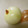 かりあん's cooksnap of when they made たまねぎの皮のむき方♪.