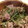 わしちょ's cooksnap of when they made 簡単！水菜と豚肉のおひたし.