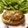 春風桃之介's cooksnap of when they made 豆腐ハンバーグ.