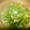 Satoco❋'s cooksnap of when they made かぶの葉炒め.