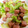 あーかな's cooksnap of when they made 和風？！SPAM＆キャベツのごま油炒め.