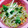 405sk's cooksnap of when they made ヘルシー♪しらたきと野菜のごま和え♪.