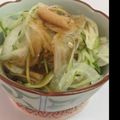 シュルツィ's cooksnap of when they made キュウリとタマネギの変わり冷や奴.