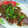 ニコニコまっきー's cooksnap of when they made 里芋と蓮根のふわふわハンバーグ✿.