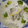 はらぺこ青虫's cooksnap of when they made 残り物食材活用★白菜と牡蠣のシチュー風.