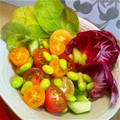 ニコニコまっきー's cooksnap of when they made ☆簡単!枝豆とトマトのサラダ☆.