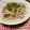 快くん's cooksnap of when they made 豚肉の塩麹炒め.