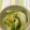yacoch02's cooksnap of when they made 白菜の中華風さっぱり甘酢漬け.