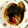 ☆いちごタルト☆★'s cooksnap of when they made シイラの唐揚げ　にらソース.