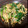 高級つぶあん's cooksnap of when they made もやしのキムチ炒め.