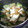 こるる。's cooksnap of when they made ちんげん菜の煮浸し.