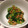 mango-a-go-go's cooksnap of when they made 小松菜の納豆和え☆.