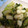 vitya's cooksnap of when they made イカとセロリの炒め物★.