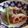 jaspo's cooksnap of when they made ひらたけと鶏肉の具沢山煮物with煮玉子.