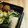 ひやごん's cooksnap of when they made 超簡単★小松菜と厚揚げの煮びたし.