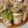 kimimaruo's cooksnap of when they made ネギと鶏肉の塩麹だれ炒め.
