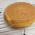 ハルコトママ's cooksnap of when they made スポンジケーキ.