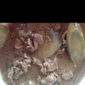 ゆのゆのらぶ's cooksnap of when they made 牛肉とごぼうのしぐれ煮.