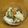 max4995's cooksnap of when they made 生牡蠣.