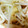 ✳︎うた✳︎'s cooksnap of when they made もやしと油揚げの中華炒め☆.