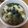 がちゃぴんママ☆'s cooksnap of when they made 離乳食中期＊豆腐餅でお雑煮風.