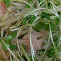 うさぎあき's cooksnap of when they made ☆もやし＆貝割れのピリ辛ゴマ酢和え☆.