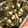 Satoco❋'s cooksnap of when they made 大豆とひじきの煮物☆.