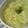 しおとも's cooksnap of when they made 母の味　PotageMilleFonti.