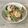さくらん餅's cooksnap of when they made 豚しゃぶときゅうりのゴマにんにく醤油.