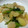 Cyan_ch's cooksnap of when they made 新じゃがとかぶの炒め物.