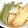 conn's cooksnap of when they made 厚揚げといんげんの煮物.