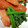 kumaya1008's cooksnap of when they made 簡単おかずホウレンソウとソーセージ炒め☆.