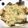 Satoco❋'s cooksnap of when they made 簡単おつまみ☆椎茸のガーリックパン粉炒め.